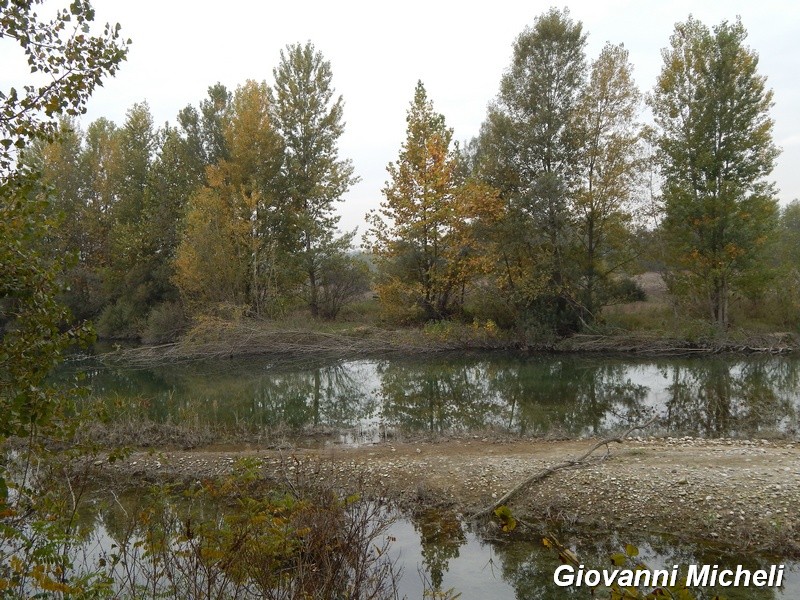 Parco del Ticino 17-10-15